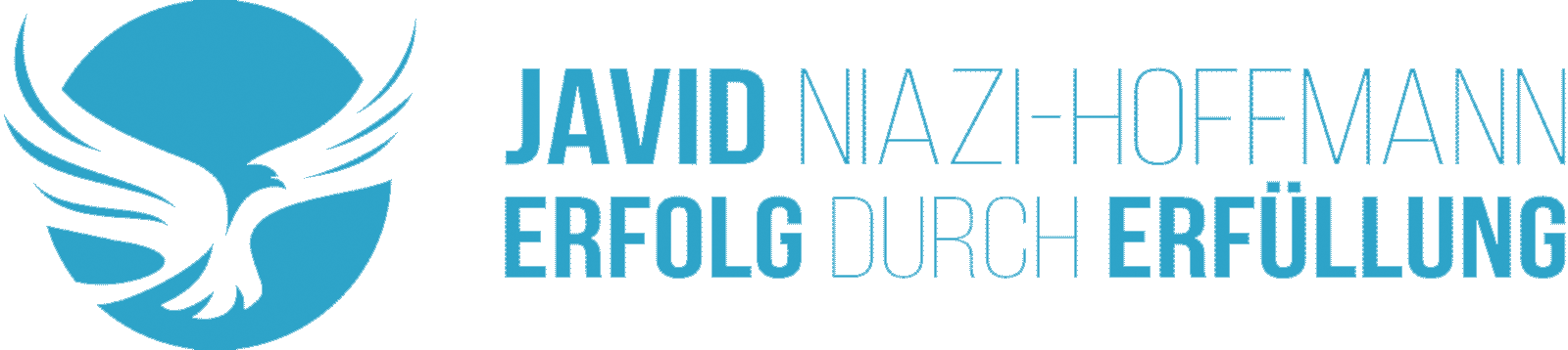 Javid Niazi-Hoffmann — Erfolg durch Erfüllung
